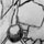 I do believe they are...kissing. ^^;